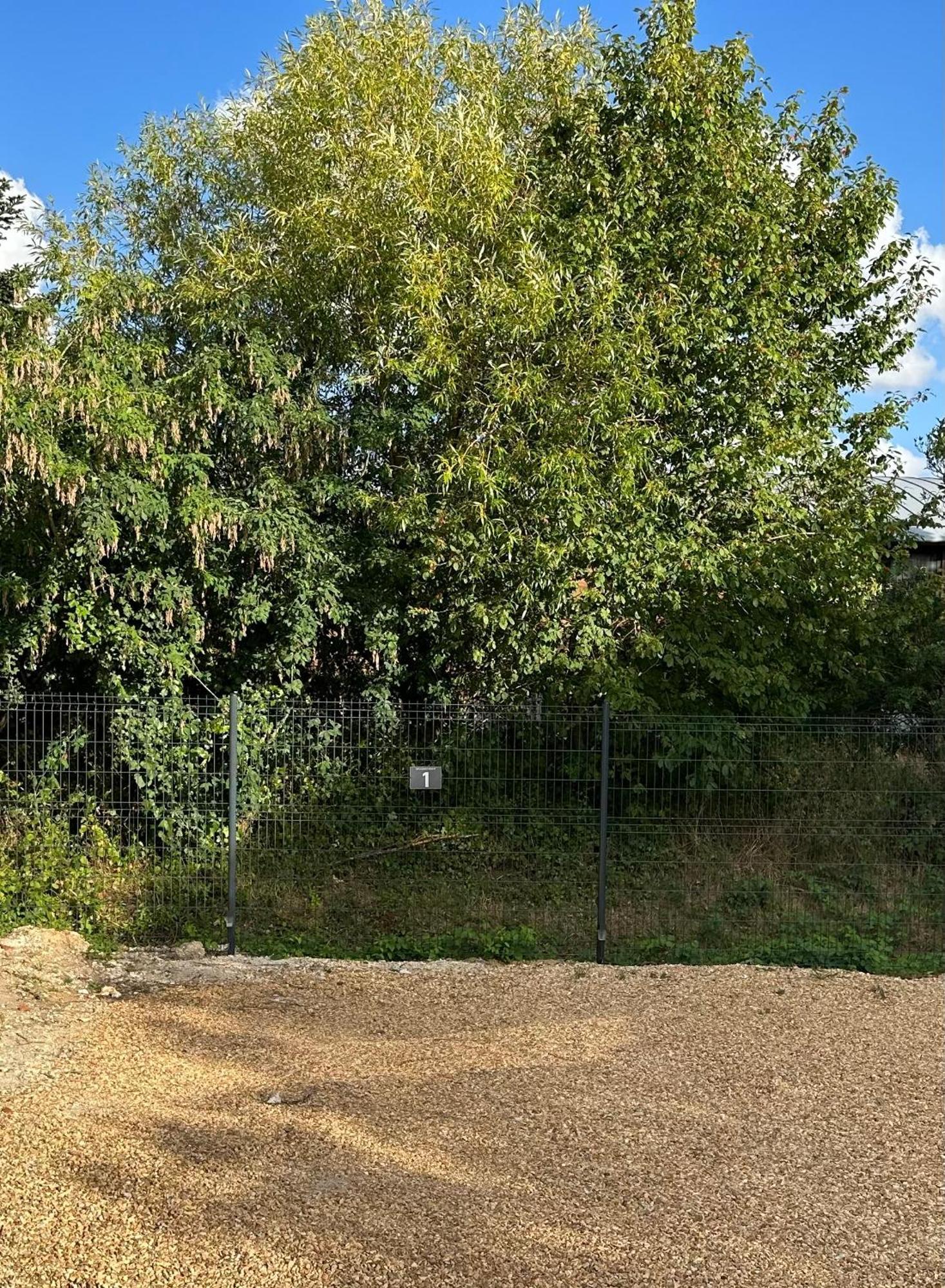 Au Coeur Des Chateaux De La Loire Fondettes Exterior foto